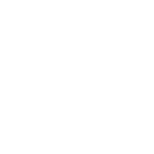 Player Icon